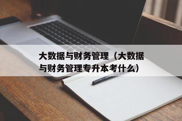 大数据与财务管理（大数据与财务管理专升本考什么）