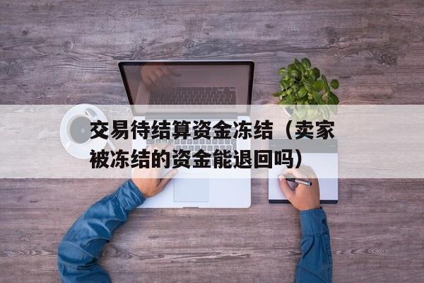 交易待结算资金冻结（卖家被冻结的资金能退回吗）