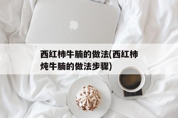 西红柿牛腩的做法(西红柿炖牛腩的做法步骤)