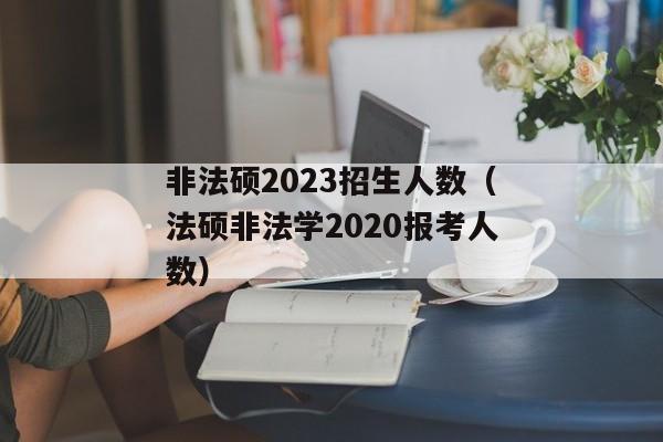 非法硕2023招生人数（法硕非法学2020报考人数）