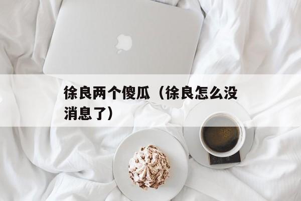 徐良两个傻瓜（徐良怎么没消息了）