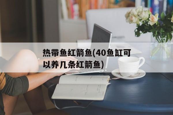 热带鱼红箭鱼(40鱼缸可以养几条红箭鱼)