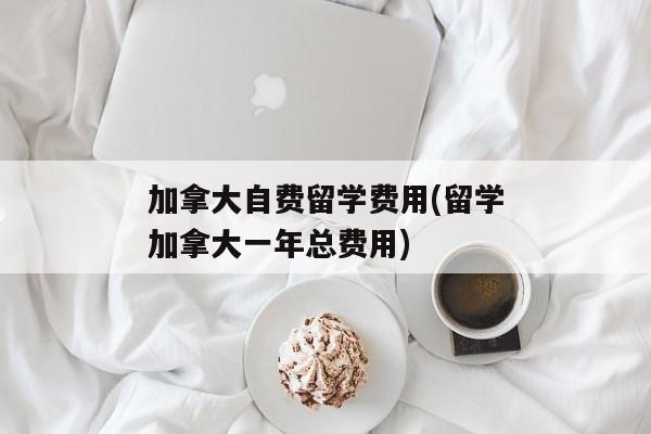 加拿大自费留学费用(留学加拿大一年总费用)