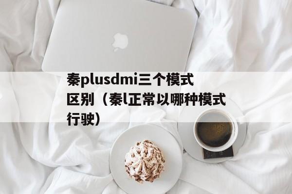 秦plusdmi三个模式区别（秦l正常以哪种模式行驶）