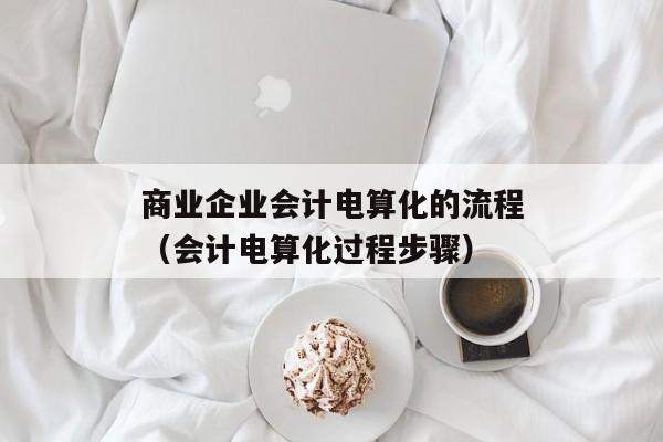 商业企业会计电算化的流程（会计电算化过程步骤）