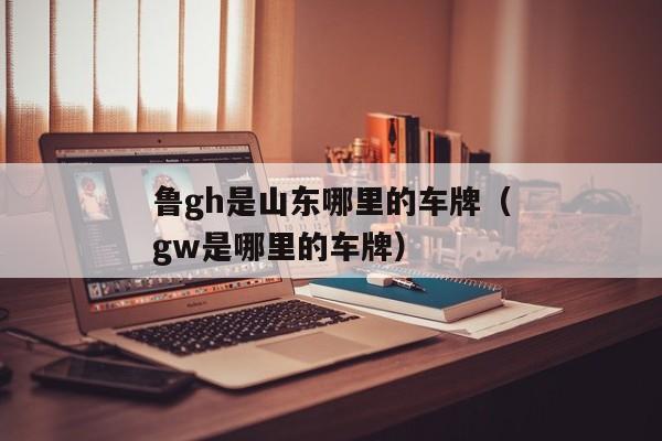 鲁gh是山东哪里的车牌（gw是哪里的车牌）