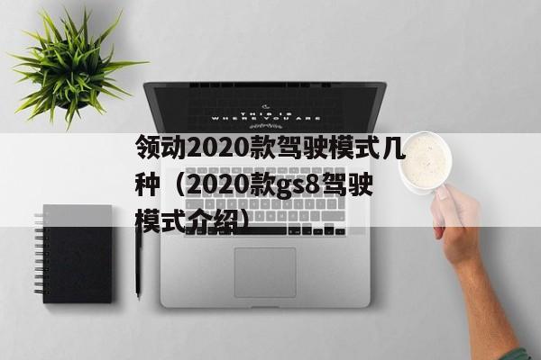 领动2020款驾驶模式几种（2020款gs8驾驶模式介绍）