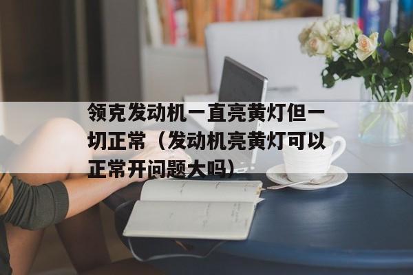 领克发动机一直亮黄灯但一切正常（发动机亮黄灯可以正常开问题大吗）