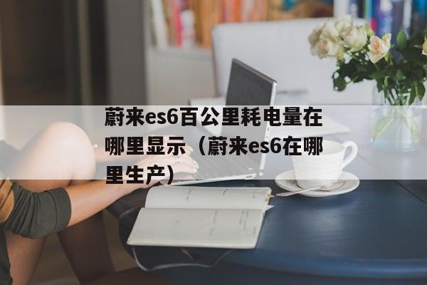 蔚来es6百公里耗电量在哪里显示（蔚来es6在哪里生产）