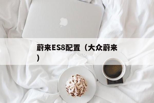 蔚来ES8配置（大众蔚来）